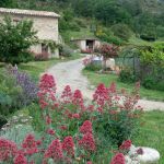 gite - Les Tilleuls - CHAMPTERCIER - Alpes-de-Haute-Provence