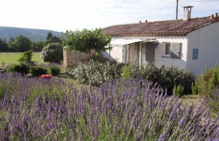 Gîte n°G14373 Saint-Michel-l'Observatoire - Alpes-de-Haute-Provence - photo
