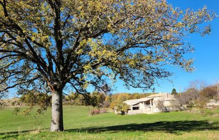 Gîte n°G14460 Redortiers - Alpes-de-Haute-Provence - photo