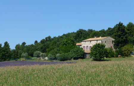 G&icirc;te n&deg;G11428 Manosque - Alpes-de-Haute-Provence - Notre maison est au milieu des champs