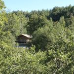 Tente lodge - Sauterelle - REVEST DU BION - Alpes-de-Haute-Provence