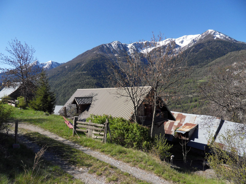 photo 42