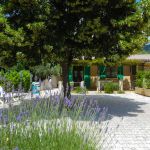 gite - Chez Colette - MOUSTIERS-SAINTE-MARIE - Alpes-de-Haute-Provence
