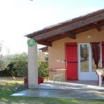 gite - Lou Coquelicot - VALENSOLE - Alpes-de-Haute-Provence