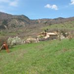 gite - Le Galabre - ROBINE-SUR-GALABRE (LA) - Alpes-de-Haute-Provence