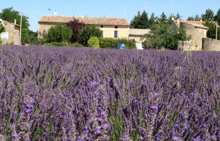 Gîte n°G32260 Sainte-Croix-du-Verdon - Alpes-de-Haute-Provence - photoEte